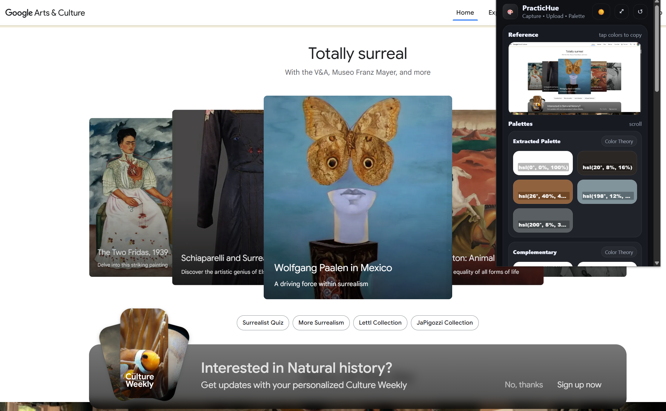 PracticHue light mode full view